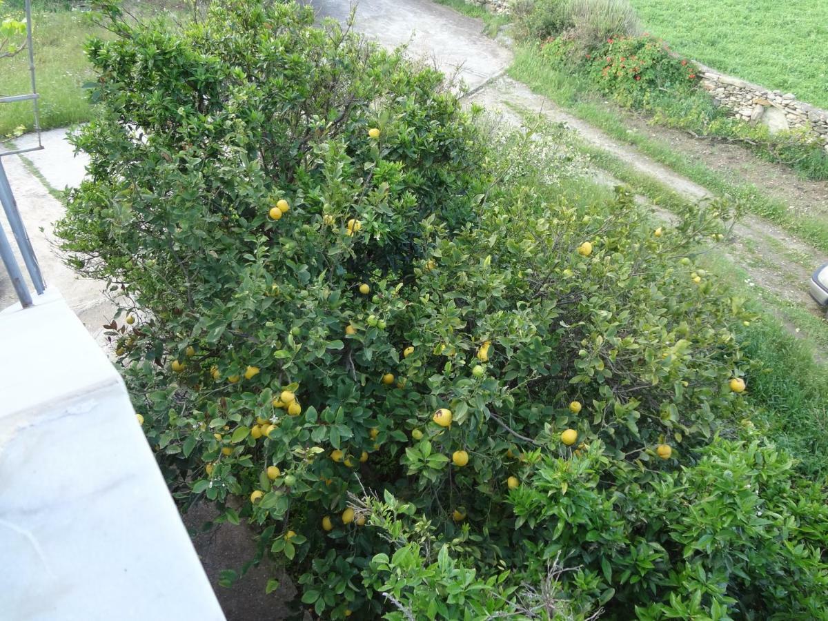הוילה Ormos  House In The Grass Land. מראה חיצוני תמונה