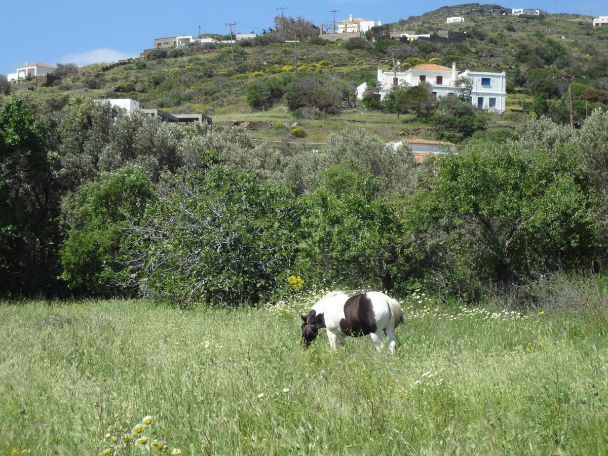 הוילה Ormos  House In The Grass Land. מראה חיצוני תמונה
